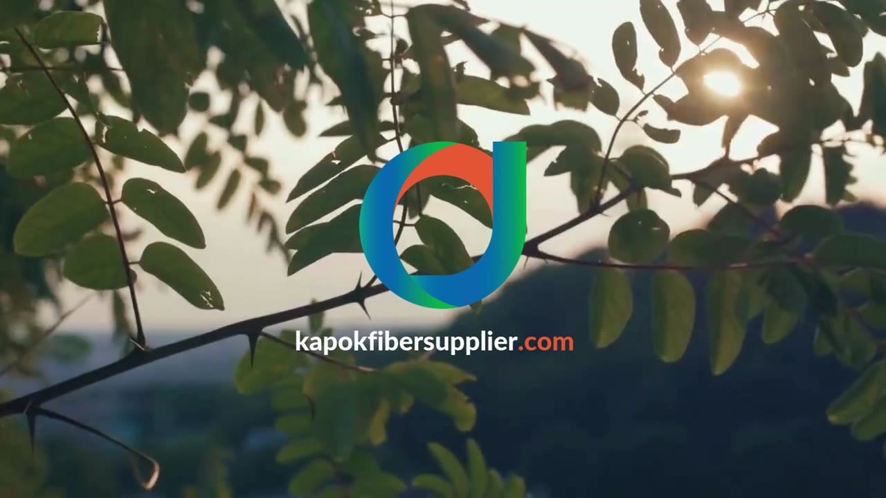 Short film from our kapok warehouse in East Java