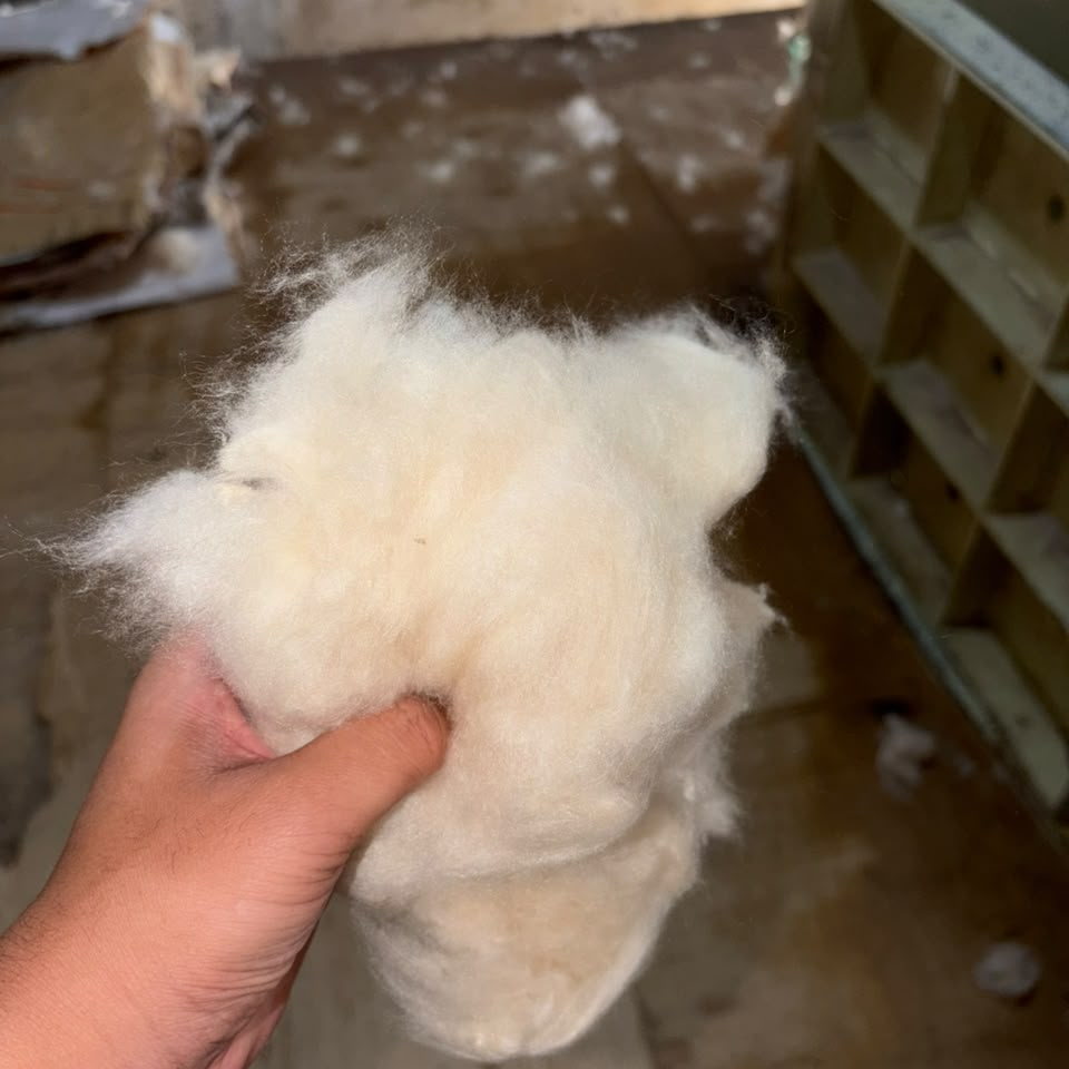 Clean high-loft kapok floss held by hand