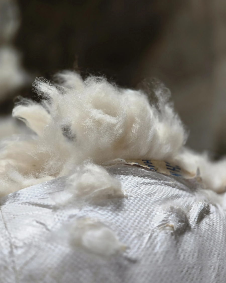 Clean high-loft kapok floss ready for baling