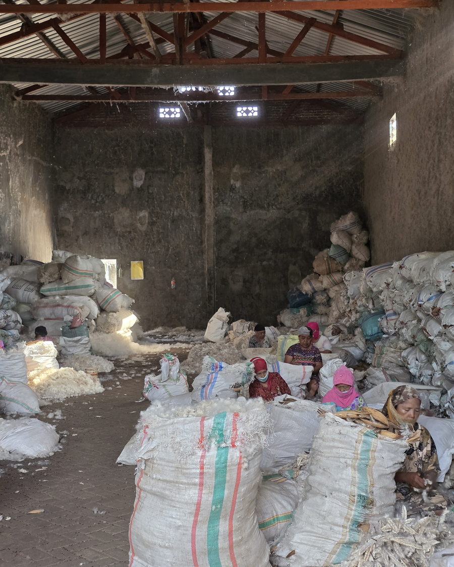 Team hand-sorting kapok fiber in the gudang
